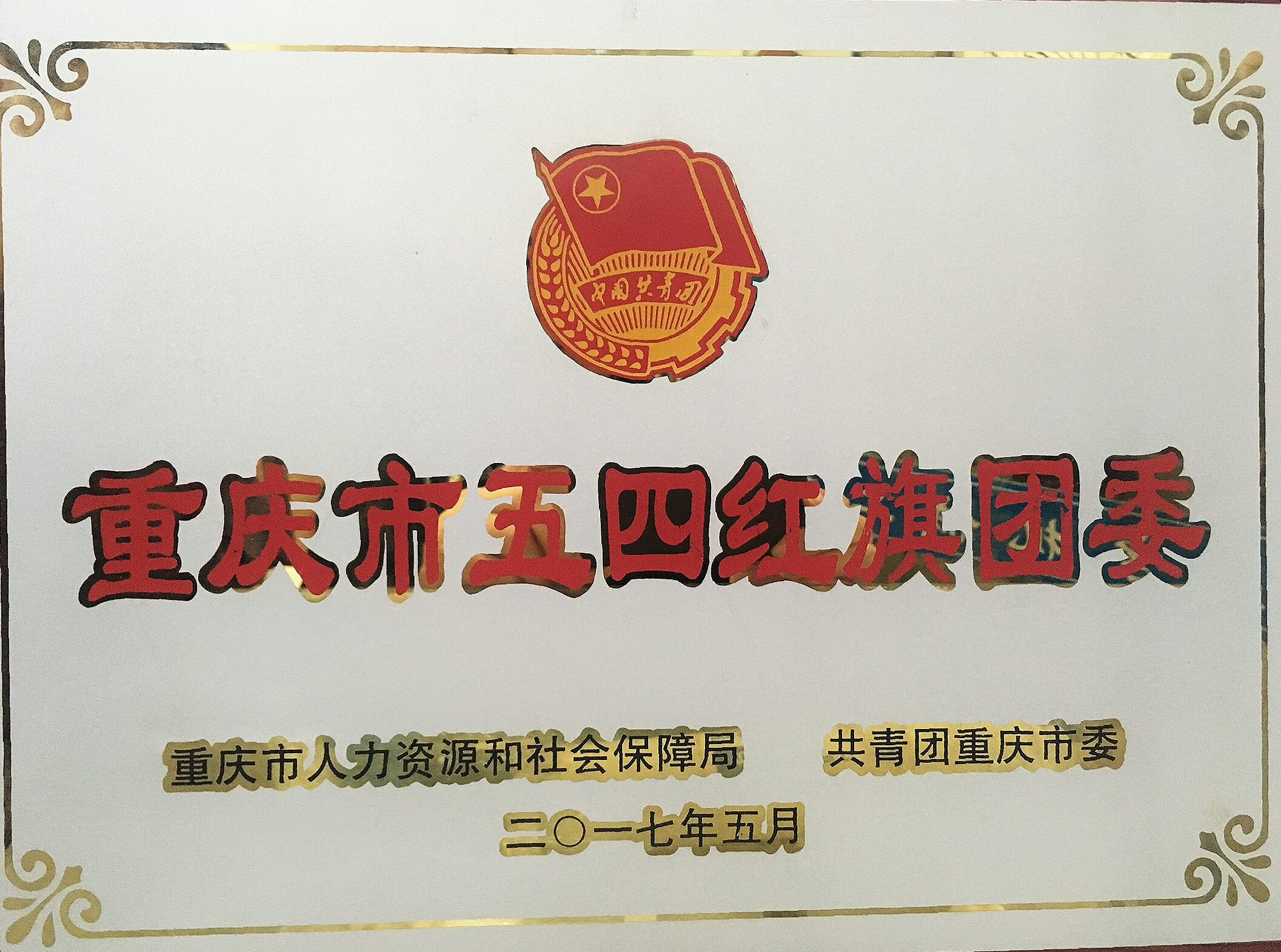 重庆市五四红旗团委(修).jpg
